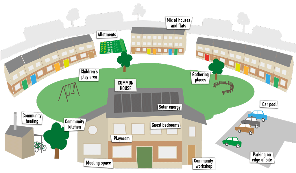 About cohousing infographic