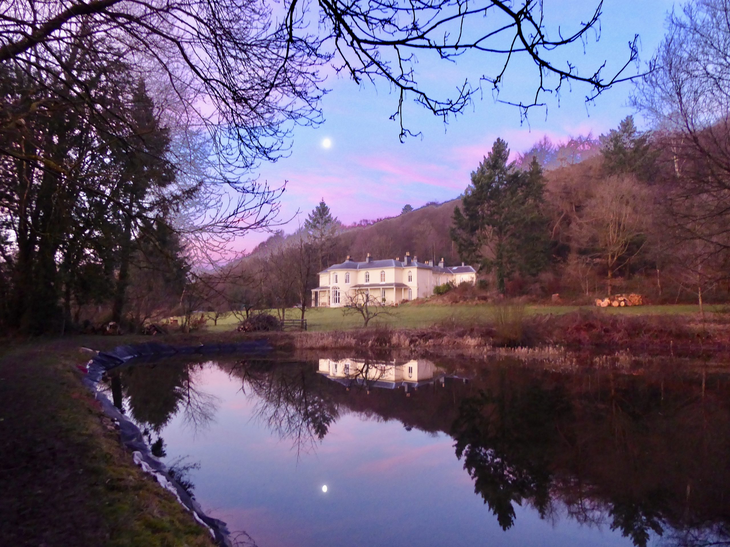 Group Logo for Dol Llys Housing Cooperative